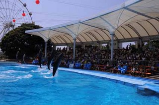 blog_家族例会 005.jpg