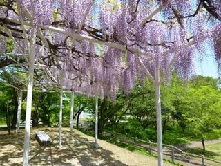 blog_P1010680.jpg